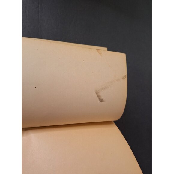 Romanism As It Is: by Samuel Barnum CATHOLIC CHURCH - Picture 9 of 16